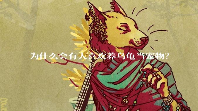 为什么会有人喜欢养乌龟当宠物？