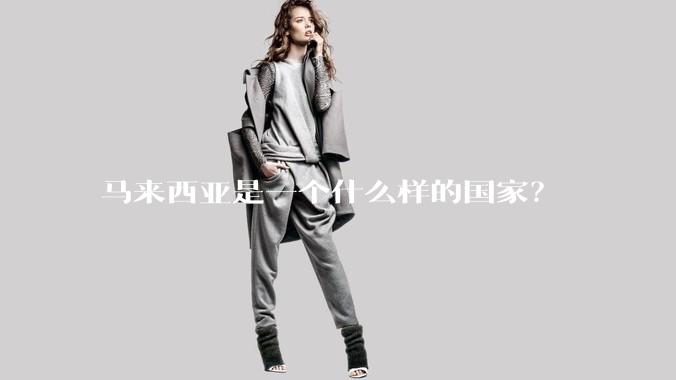 马来西亚是一个什么样的国家？