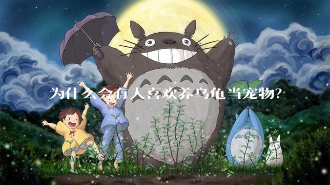 为什么会有人喜欢养乌龟当宠物？