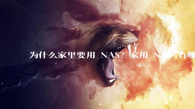为什么家里要用 NAS？家用 NAS 有哪些实际的、接地气的用途？