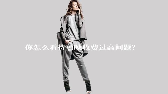 你怎么看待剪映收费过高问题？