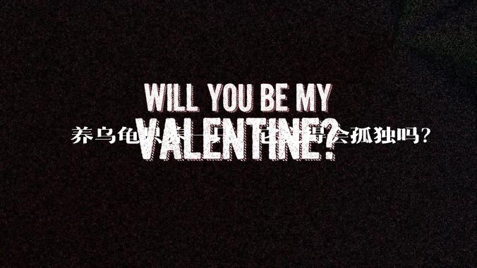 养乌龟只养一只，它觉得会孤独吗？