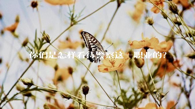 你们是怎样看待警察这一职业的？