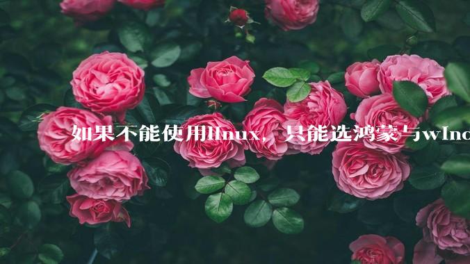 如果不能使用linux，只能选鸿蒙与windows，你会选哪个？