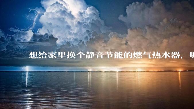 想给家里换个静音节能的燃气热水器，哪个品牌比较好？