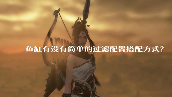 鱼缸有没有简单的过滤配置搭配方式？