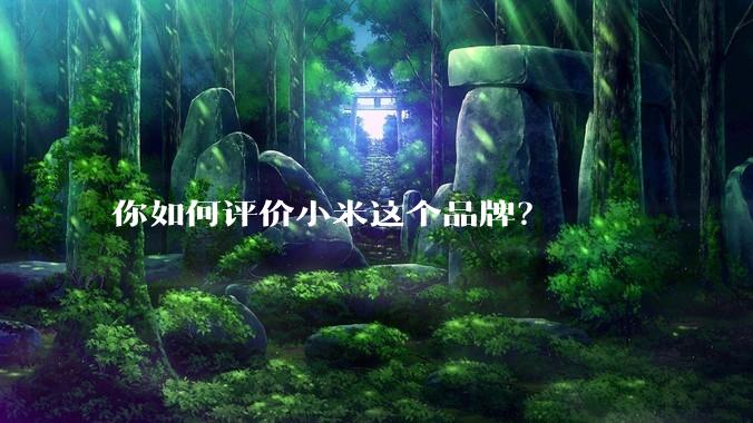 你如何评价小米这个品牌？