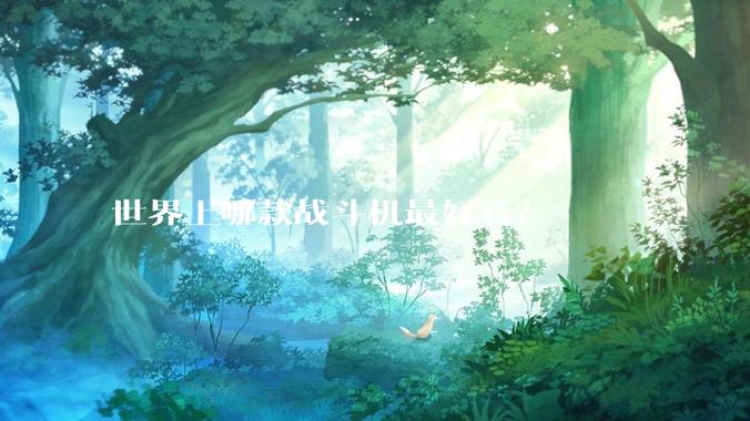 世界上哪款战斗机最好看？