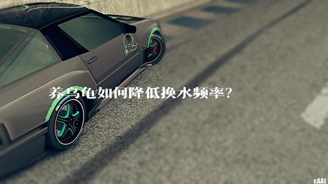 养乌龟如何降低换水频率？