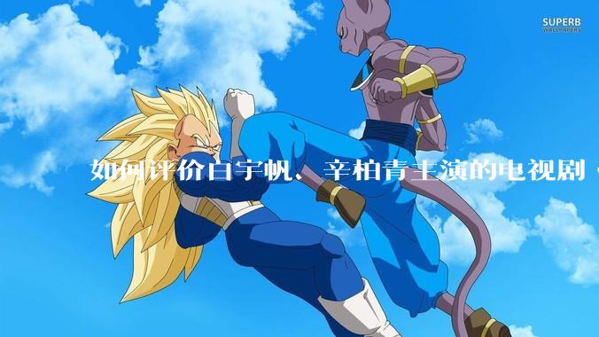 如何评价白宇帆、辛柏青主演的电视剧《护宝寻踪》？