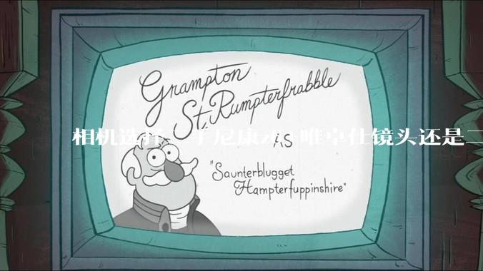 相机选择二手尼康z6+唯卓仕镜头还是二手松下s5+美科镜头。主要是拍人像?