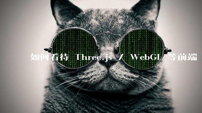 如何看待 Three.js / WebGL 等前端 3D 技术？