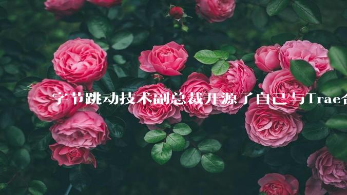 字节跳动技术副总裁开源了自己与Trae合作的首个项目，如何评价目前AI开发的水平？